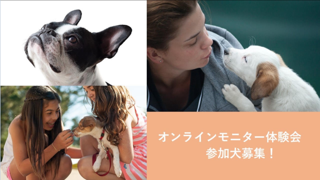 オフィスat カーリスドライ納豆 ペット犬向けオンラインモニター体験会を開催 Office At